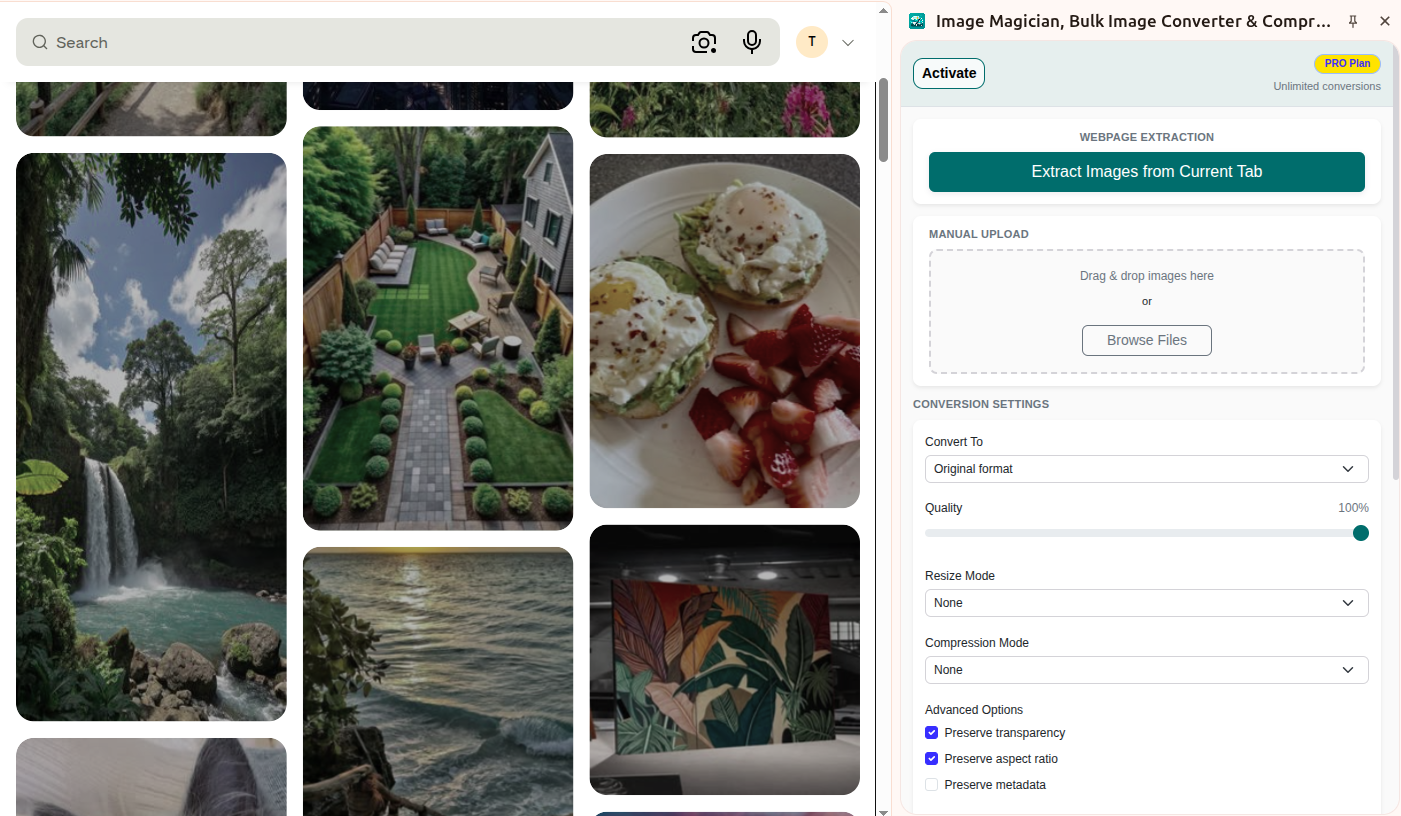 Image Magician bulk extraction panel showing images found on a webpage