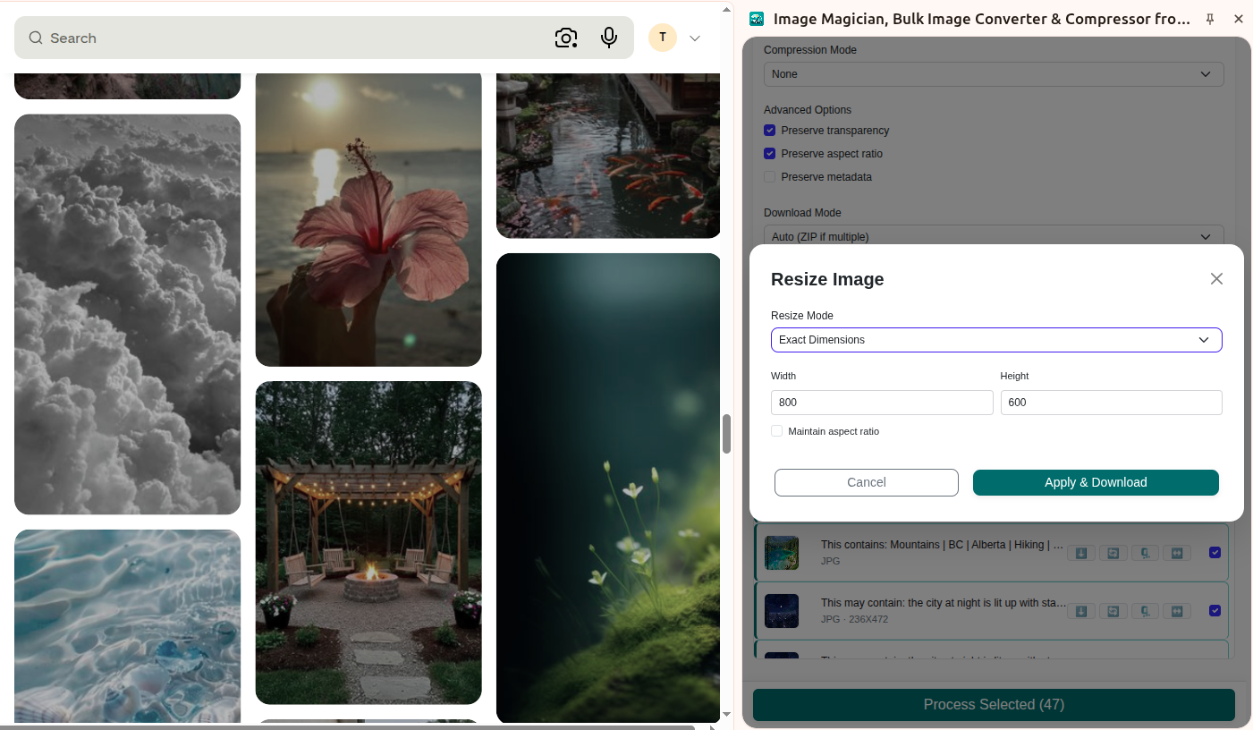 Image Magician resize and output preview showing processed images ready for download